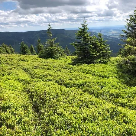Dom Kopaczówka Radkow
