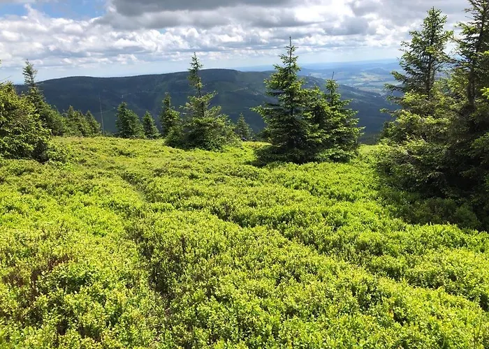 Klimatyczny Dom Kopaczowka Przytulna Miejscowka Z Kominkiem, Sauna I Ogrodem U Podnoza Gor Stolowych 라트코프