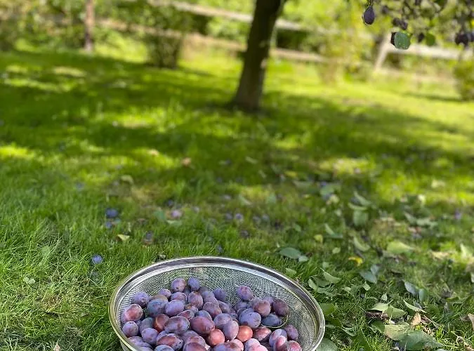 펜션 Klimatyczny Dom Kopaczowka Przytulna Miejscowka Z Kominkiem, Sauna I Ogrodem U Podnoza Gor Stolowych *